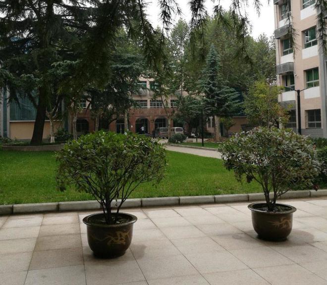 莫须有！14岁男孩“没系安全带”不能上学交警：信息录入错误！完美平台 完美电竞APP(图1)