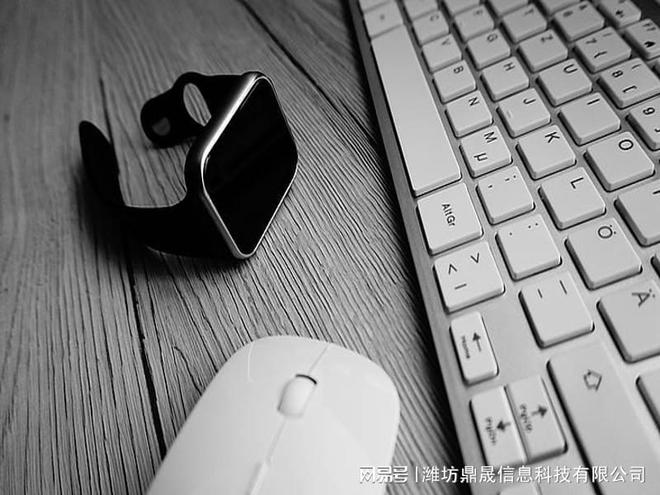 昌乐县企业网站开完美平台 完美电竞APP发分为哪几步(图1)