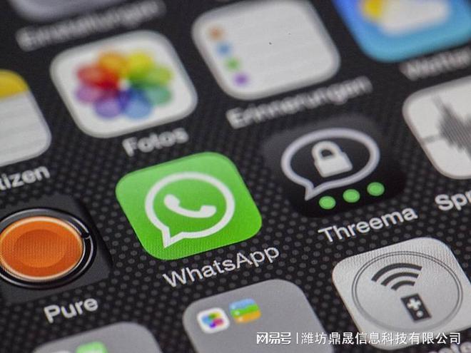 完美平台 完美电竞APP甜品美食网站建设设计策划书(图1)