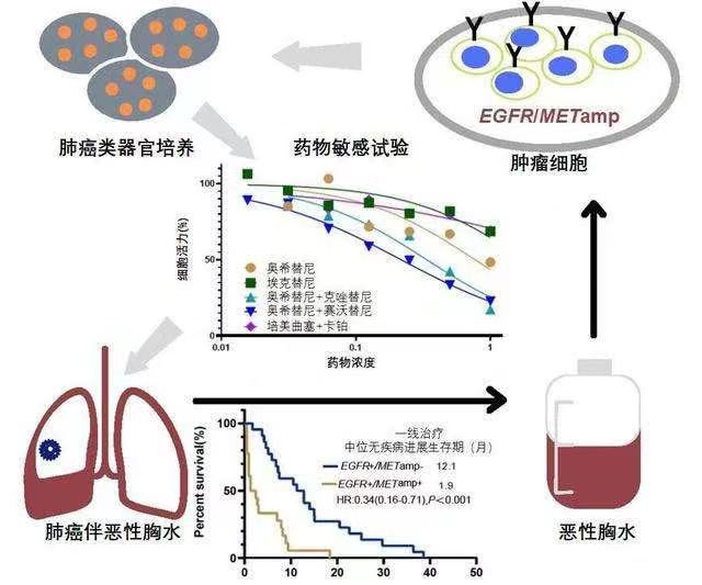 完美电竞 完美csgoOSC 2023第二届西南类器官和器官芯片技术大会助力精准医学新时代！(图2)