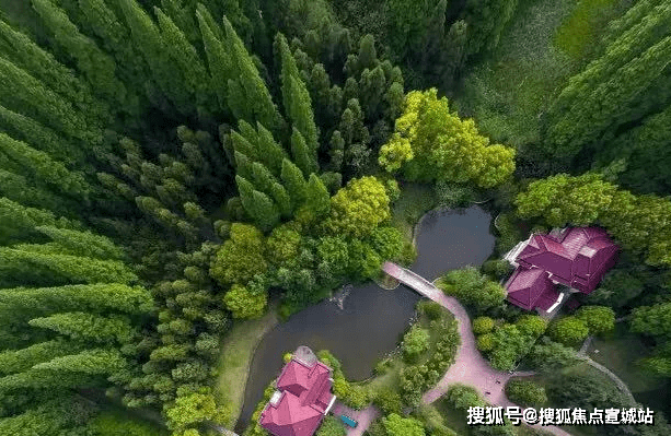 完美电竞 完美csgo路劲岛上的院子(岛上的院子)首页网站项目简介24小时电话热线(图6)