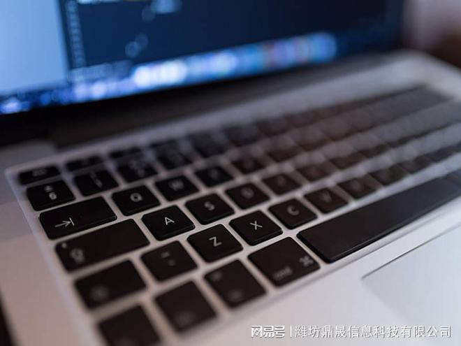 皮完美电竞 完美电竞官网革网站建设价格多少钱一年(图1)