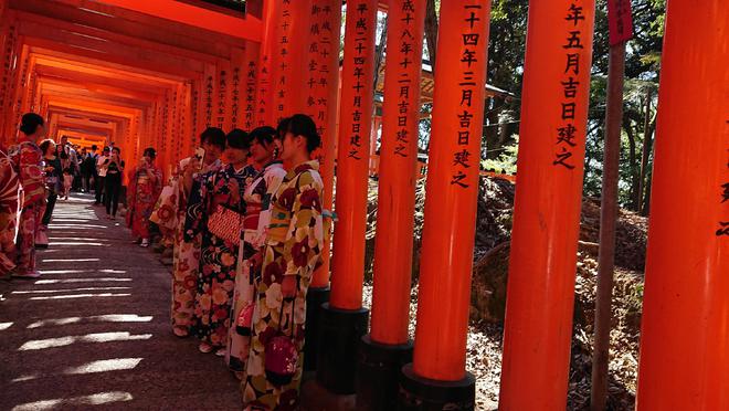 完美电竞 完美csgo核污水排放致赴日旅游降温旅行社：咨询量大幅减少退单率达50%(图4)