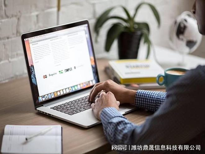 设计类网站制作基完美电竞本方案