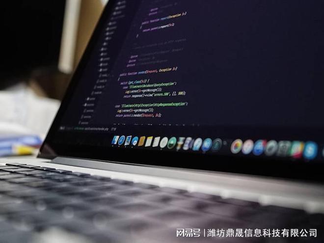 完美电竞潍坊网站设计收费标准需要多少钱