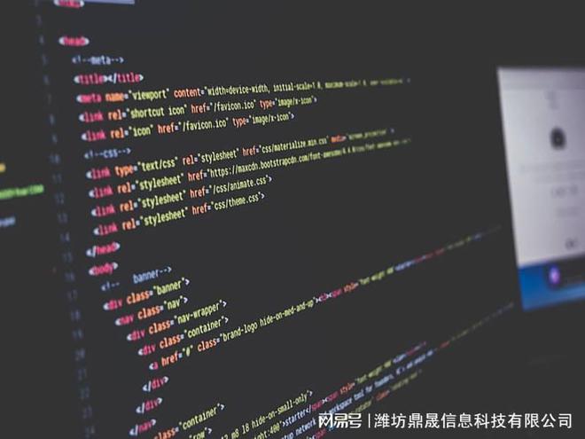 完美电竞潍坊中高端网站设计方案