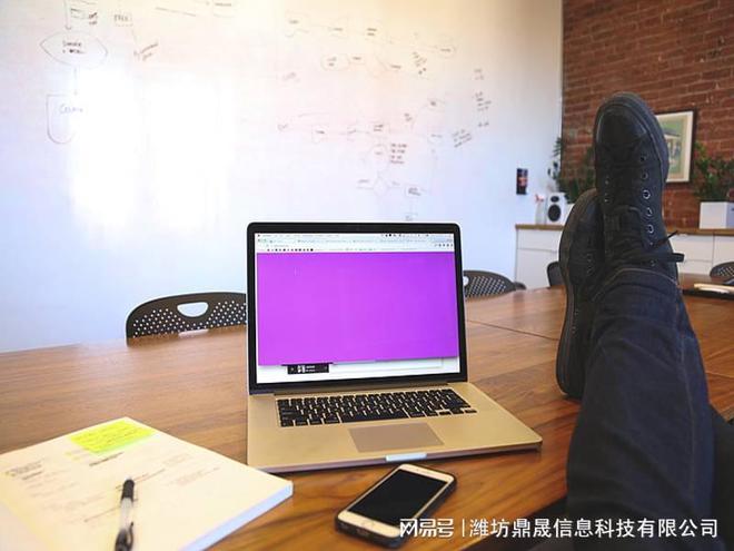 完美电竞潍坊企业营销型网站设计策划方案
