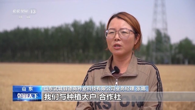 完美电竞集中上市!夏粮收购量突破1000万吨