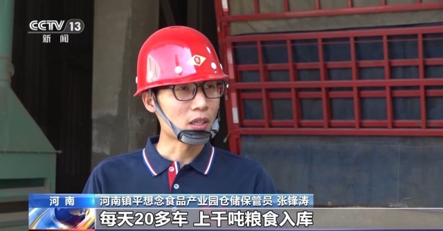 完美电竞集中上市！夏粮收购量突破1000万吨(图5)