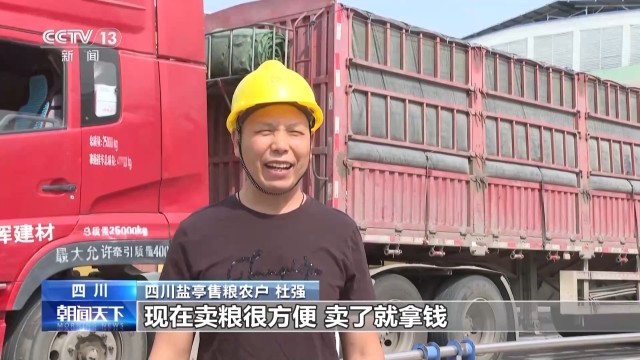 完美电竞集中上市！夏粮收购量突破1000万吨(图4)