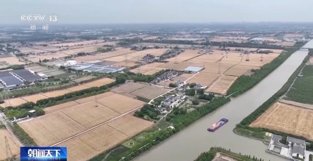 完美电竞集中上市！夏粮收购量突破1000万吨(图9)