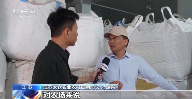 完美电竞集中上市！夏粮收购量突破1000万吨(图10)