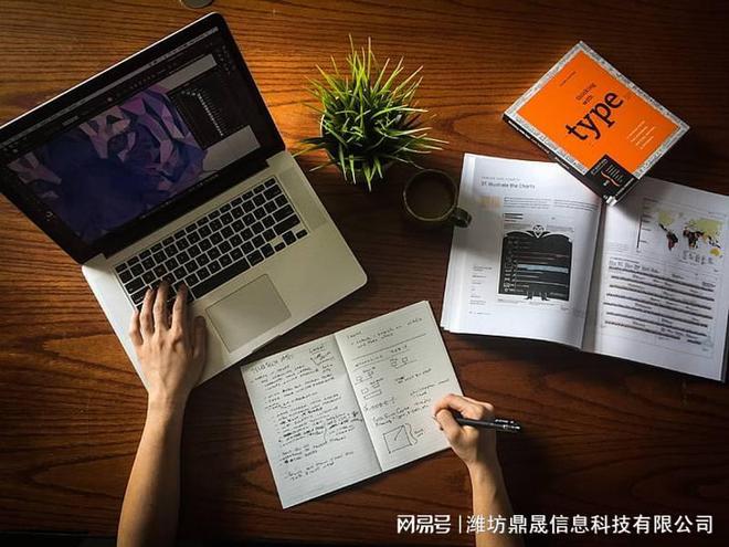 完美电竞大型网站建设规划方案