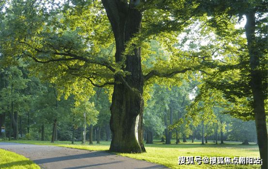 完美电竞杭房启润学府官方网站2024户型设计曝光杭州房天下(图3)