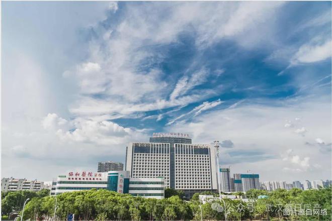 武汉城建电建璟樾府完美电竞➢售楼处电线小时咨询 最新房源(图11)
