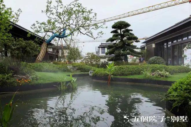 五个院子最新大宅出售信息发布、详情来电咨询！完美电竞(图16)