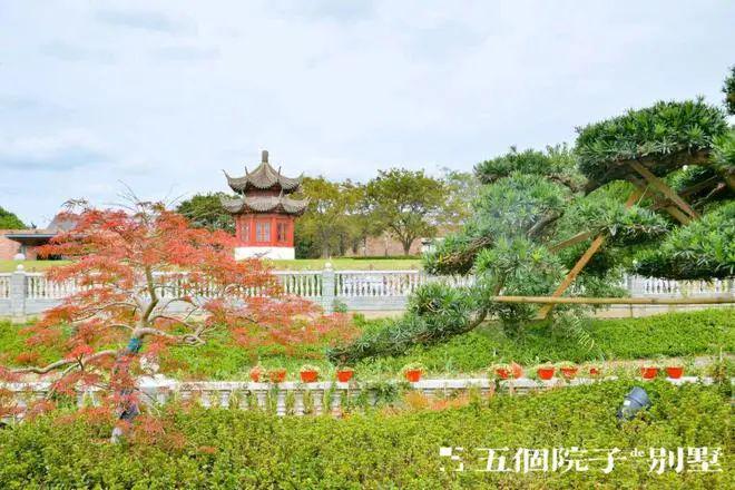 五个院子最新大宅出售信息发布、详情来电咨询！完美电竞(图22)