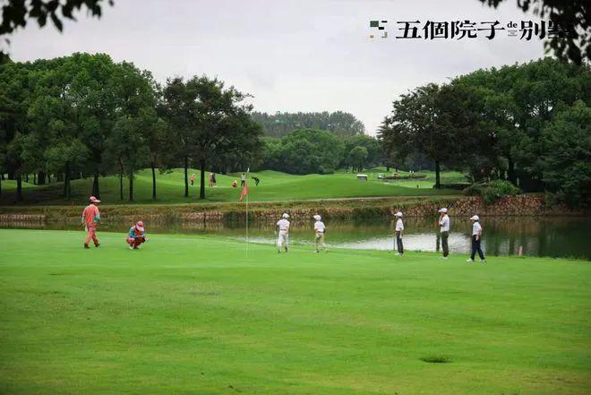 五个院子最新大宅出售信息发布、详情来电咨询！完美电竞(图29)